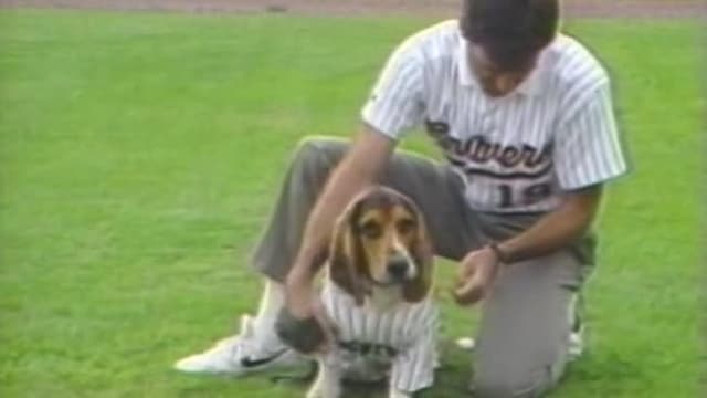 S01:E15 - Episode 15