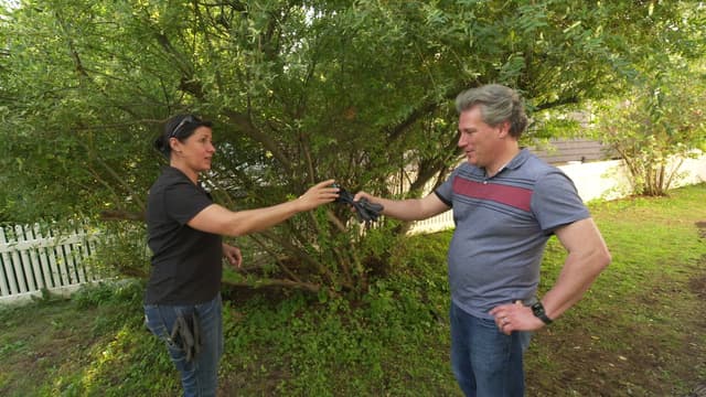 S43:E18 - West Roxbury Victorian: Pruning 101