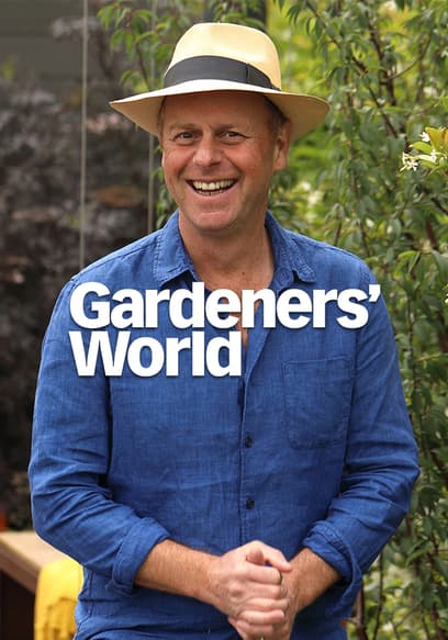 S09:E11 - Episode 11