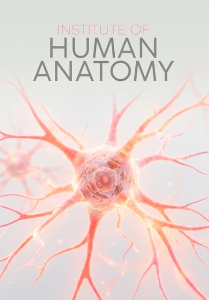 Institute of Human Anatomy poster