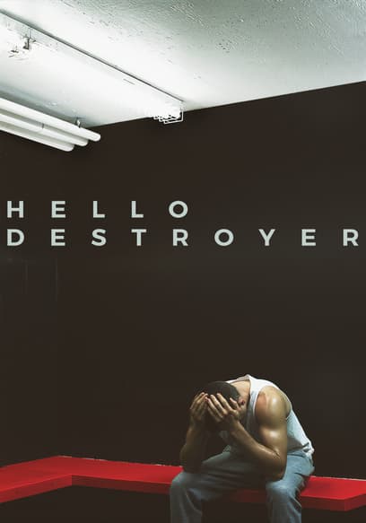 Hello Destroyer poster