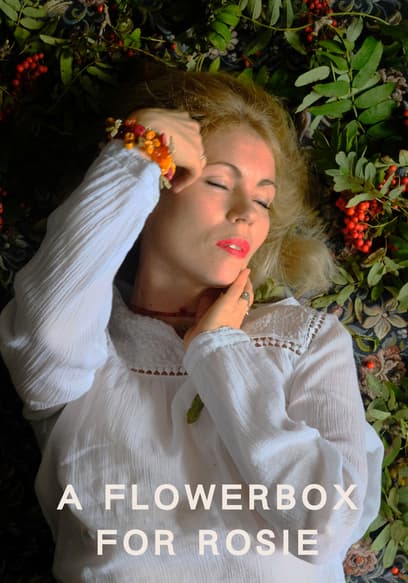 A Flowerbox For Rosie