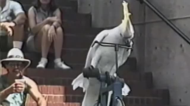 S01:E11 - Episode 11