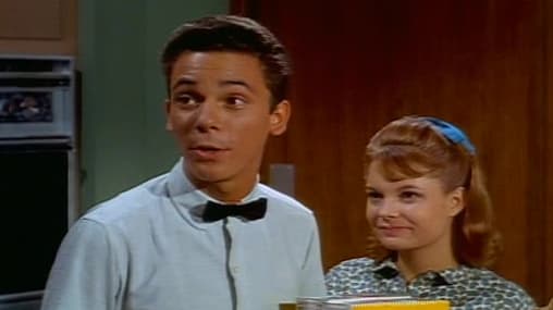 Watch Family Affair S01:E04 The Matter of School Free TV Shows