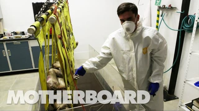 S01:E03 - Reviving the Dead With DIY Forensics: Still Life