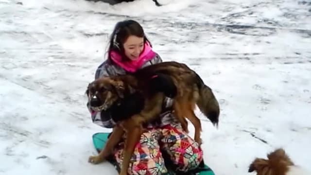 S01:E02 - Top 10 Little Creatures