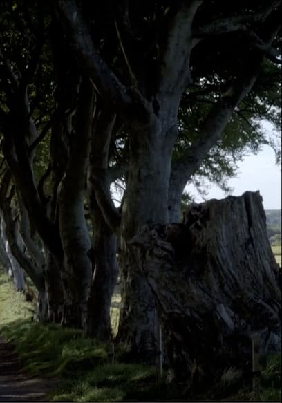 S01:E07 - Florence & Northern Ireland poster