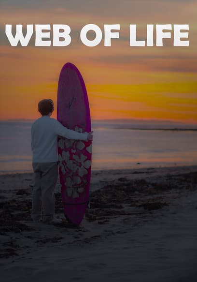 Web of Life