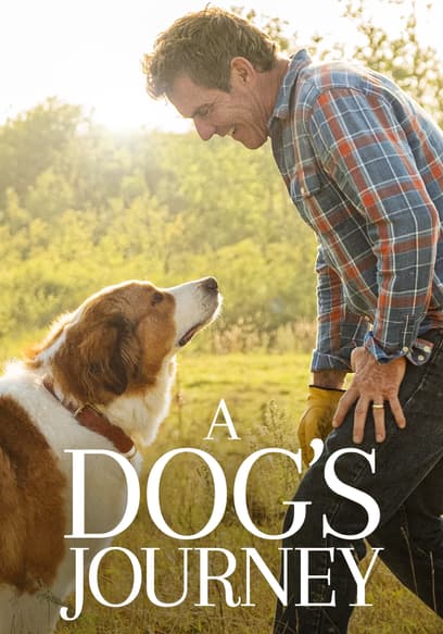 A Dog's Journey poster