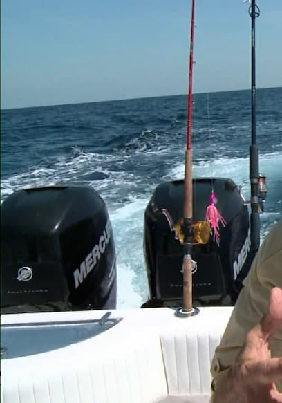 S02:E11 - NC Amberjack & CA Seabass poster