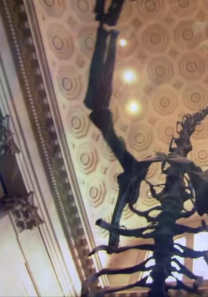 S02:E02 - Inside the American Museum of Natural History, New York poster