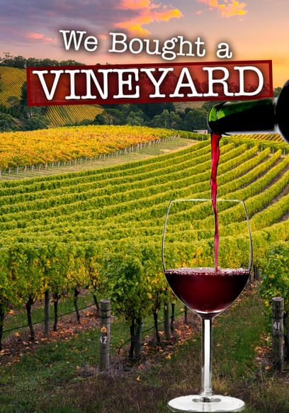 We Bought a Vineyard