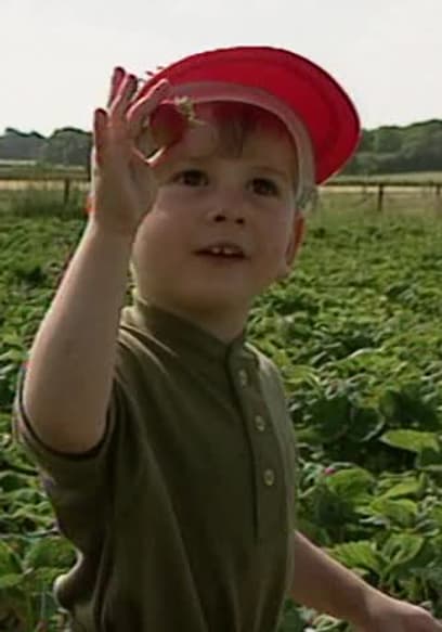 S02:E35 - Strawberry Picking poster