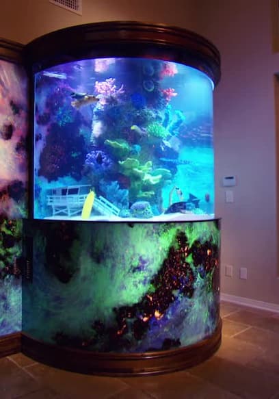 Watch Tanked S09:E06 - The Hoff Gets Tanked - Free TV Shows | Tubi
