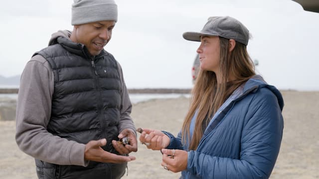 S01:E06 - Art & Mussels