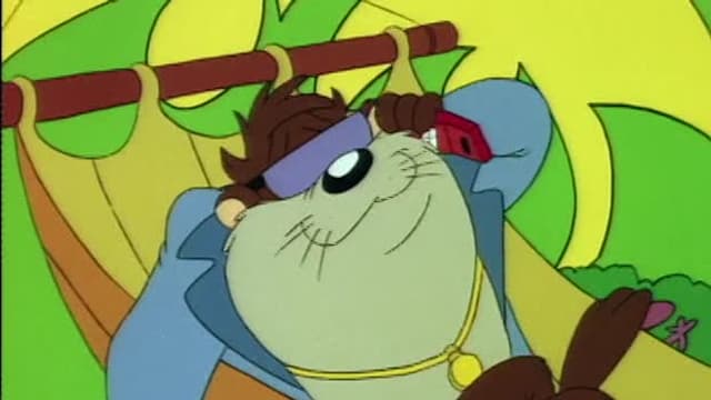 S01:E13 - Pup Goes the Wendal/I'm Okay, You're Taz