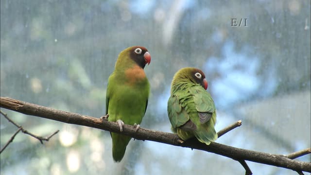 S01:E09 - Episodio 9