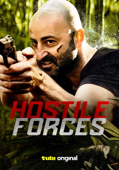 Hostile Forces