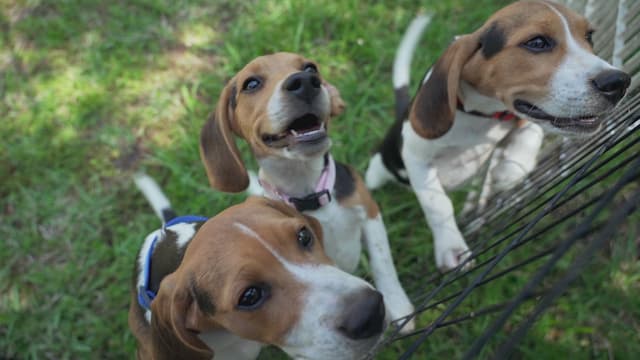 S04:E15 - Training Day