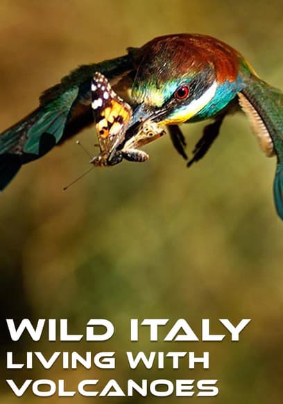 Wild Italy: Living With Volcanoes