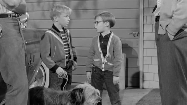 S09:E21 - Two Small Boys and a Dog