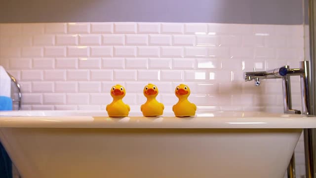 S01:E03 - Get Quacking