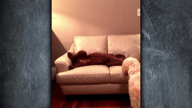 S01:E10 - Iron Dog 3