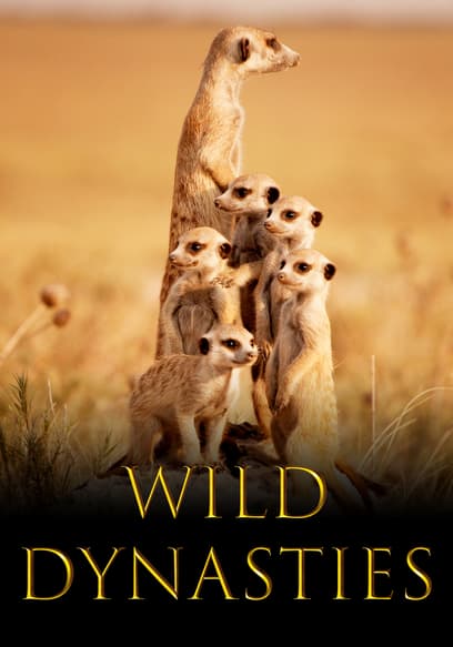 S01:E01 - Growing Up Wild