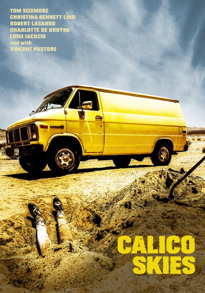 Calico Skies