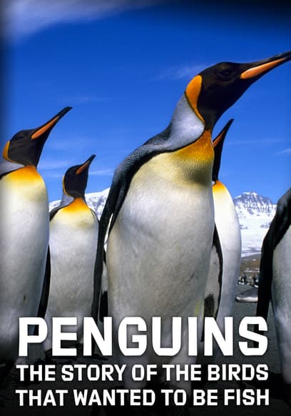 Penguins: The Story of the Birds That Wanted to Be Fish