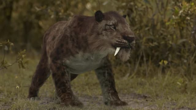 S01:E02 - Dominio Mundial