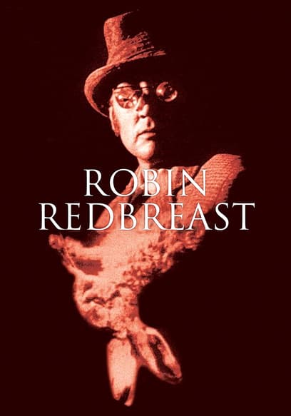 Robin Redbreast