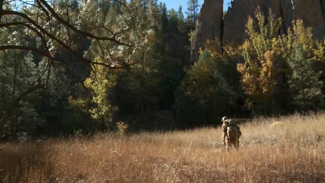 S04:E15 - Gila Monster: New Mexico Bull Elk