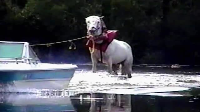 S08:E25 - Episode 25