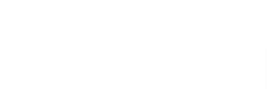 Stock Option