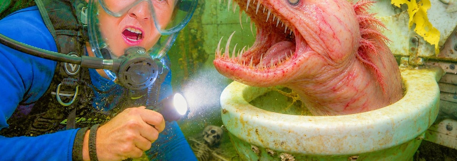 Ver The Fish Guys S03:E04 - Fish in the Scariest Locations - Series ...