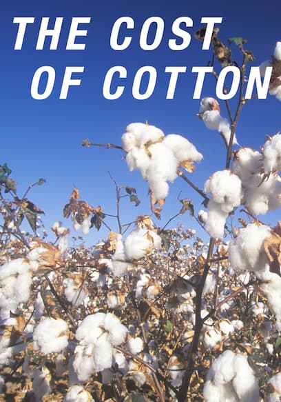 The Cost of Cotton