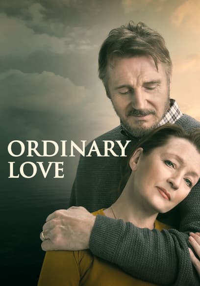 Ordinary Love poster