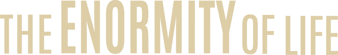 The Enormity of Life