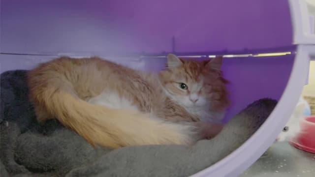 S01:E10 - Episode 10