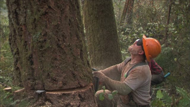 S01:E07 - The Close Call