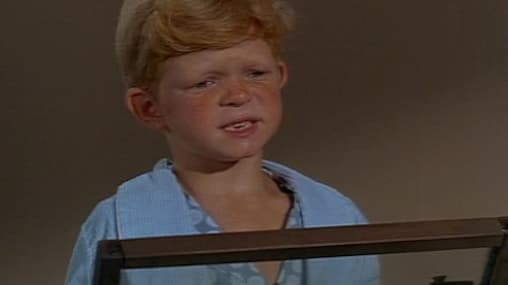 Watch Family Affair S01:E03 The Gift Horse Free TV Shows Tubi