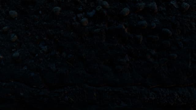 S01:E12 - Firefly Rescue/Candy Quest