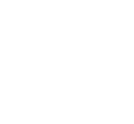 House of Dreams