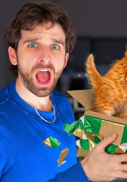 S01:E18 - Surprising Mom With Stray Kittens poster
