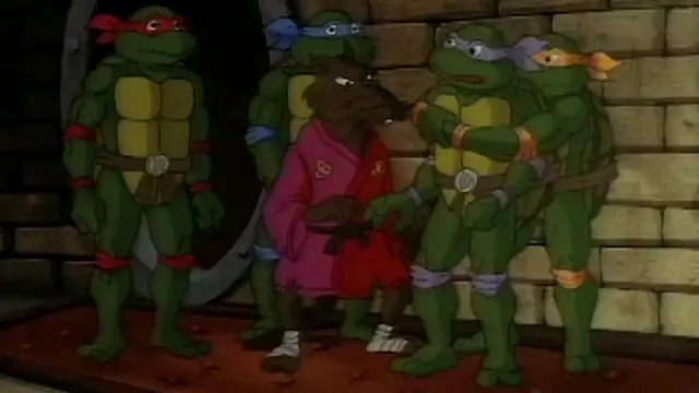 S07:E07 - Night of the Dark Turtle