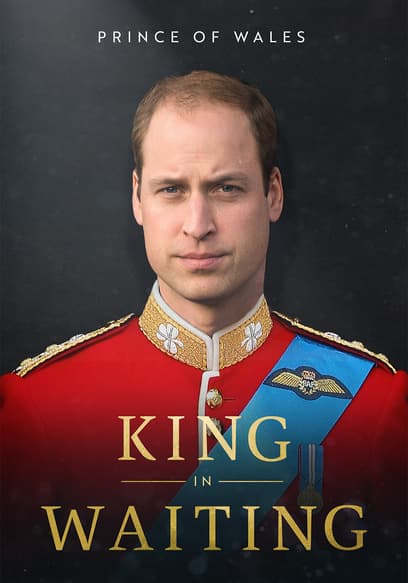 Prince of Wales: King in Waiting