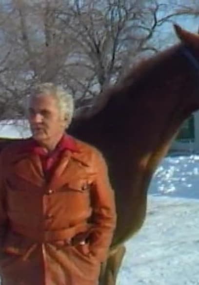 S01:E02 - The Chicago Horse Mafia poster