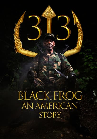 33 Black Frog: An American Story