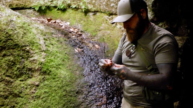 S01:E07 - Brook Trout & Milkweed Flowers